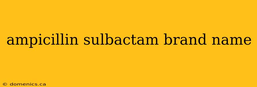 ampicillin sulbactam brand name