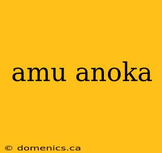 amu anoka