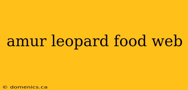 amur leopard food web