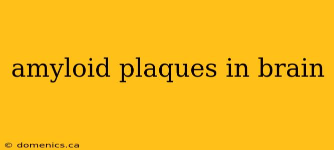 amyloid plaques in brain