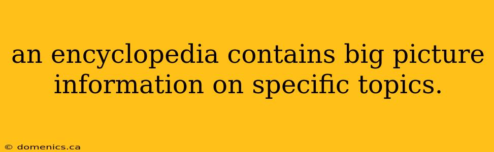 an encyclopedia contains big picture information on specific topics.