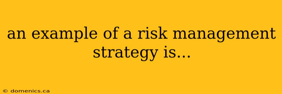 an example of a risk management strategy is...