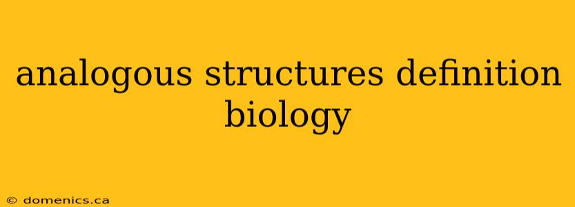 analogous structures definition biology