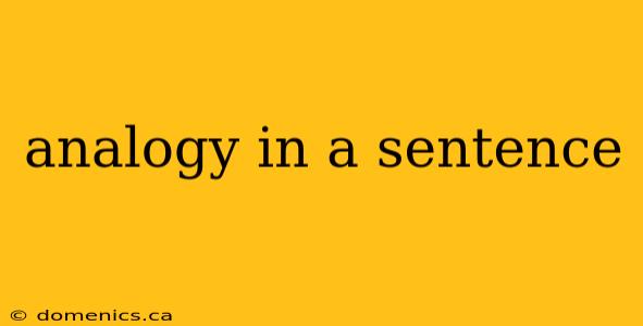 analogy in a sentence