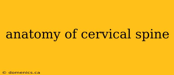 anatomy of cervical spine