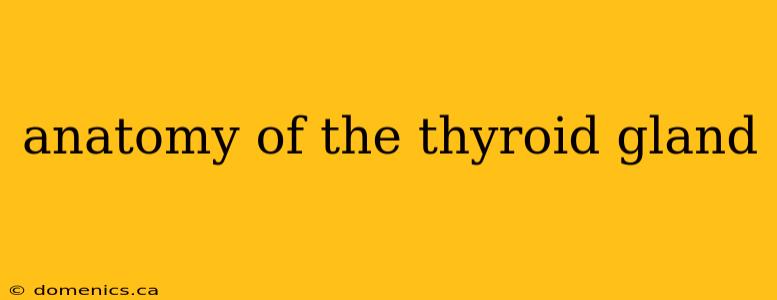 anatomy of the thyroid gland