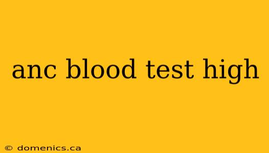 anc blood test high