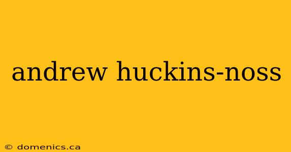 andrew huckins-noss