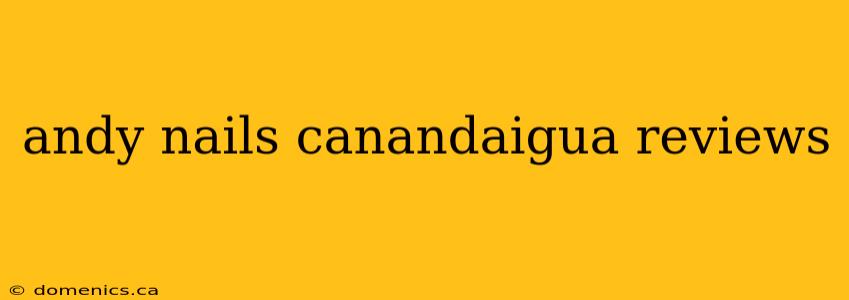 andy nails canandaigua reviews