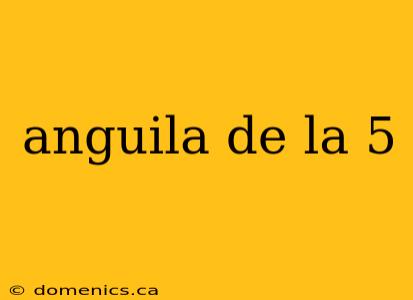 anguila de la 5