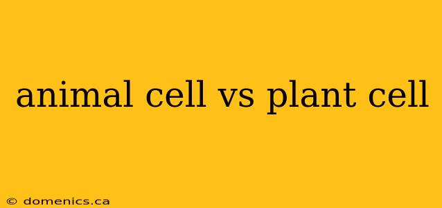 animal cell vs plant cell