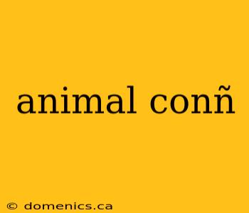 animal conñ