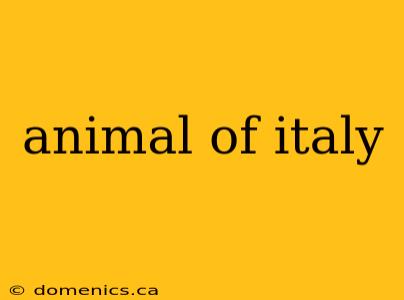 animal of italy