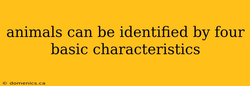 animals can be identified by four basic characteristics