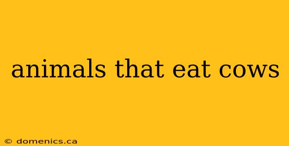 animals that eat cows