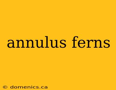 annulus ferns