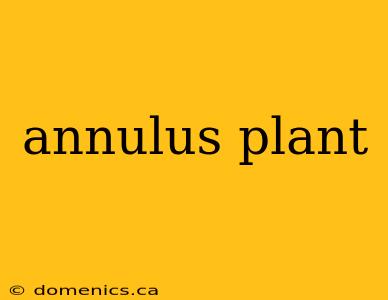 annulus plant