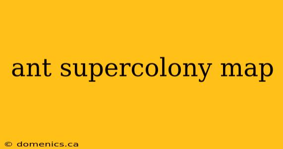 ant supercolony map