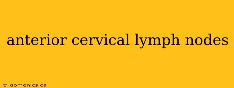 anterior cervical lymph nodes