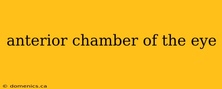 anterior chamber of the eye