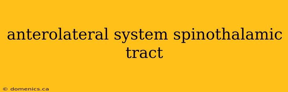 anterolateral system spinothalamic tract