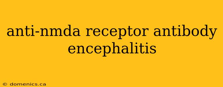 anti-nmda receptor antibody encephalitis