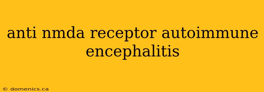 anti nmda receptor autoimmune encephalitis