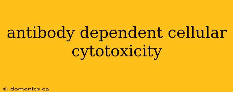 antibody dependent cellular cytotoxicity