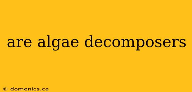 are algae decomposers