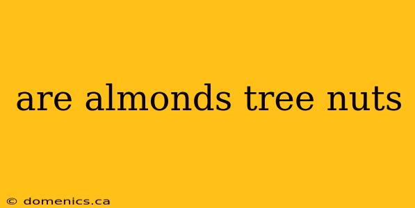 are almonds tree nuts