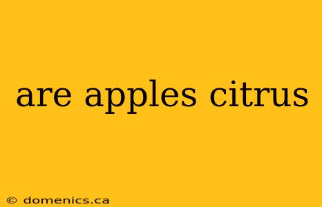 are apples citrus