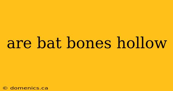 are bat bones hollow