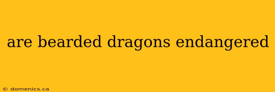 are bearded dragons endangered