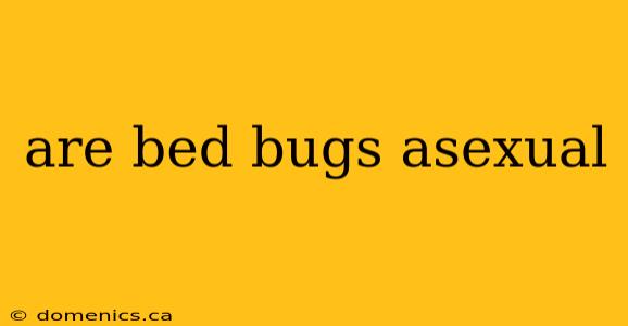 are bed bugs asexual