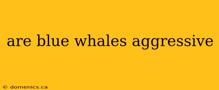 are blue whales aggressive