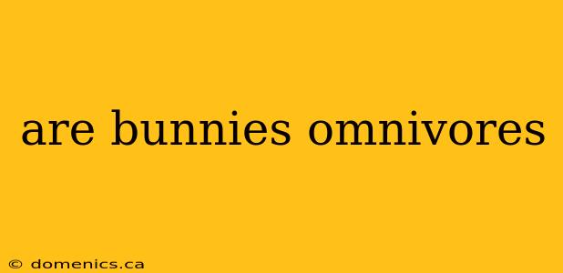 are bunnies omnivores