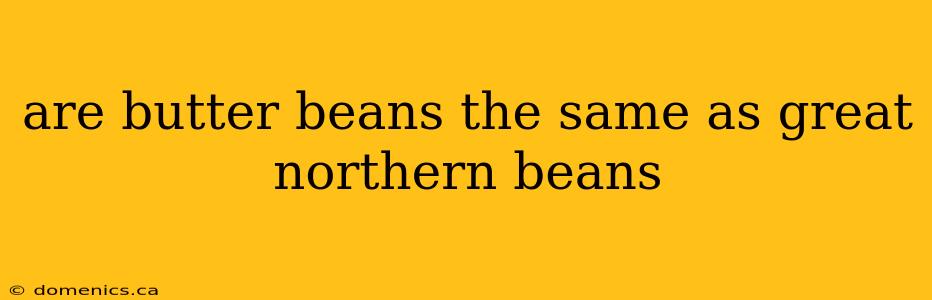 are butter beans the same as great northern beans