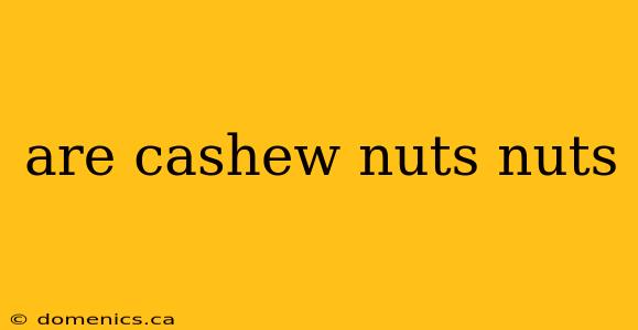 are cashew nuts nuts