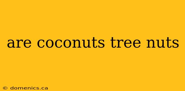 are coconuts tree nuts