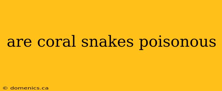 are coral snakes poisonous