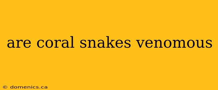 are coral snakes venomous