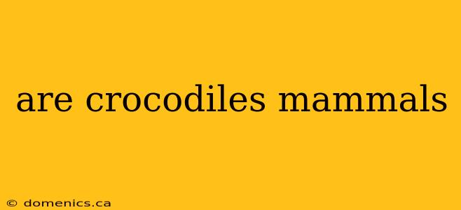 are crocodiles mammals