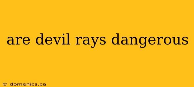 are devil rays dangerous