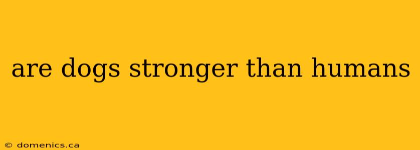 are dogs stronger than humans