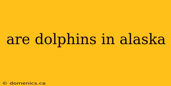 are dolphins in alaska