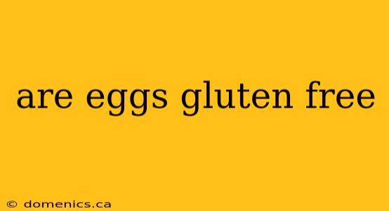 are eggs gluten free