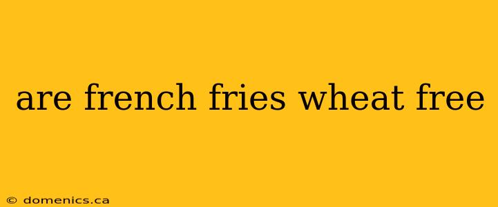 are french fries wheat free