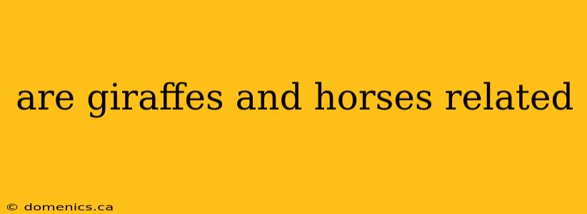 are giraffes and horses related