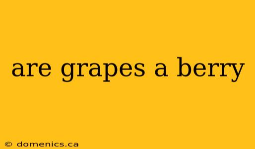 are grapes a berry