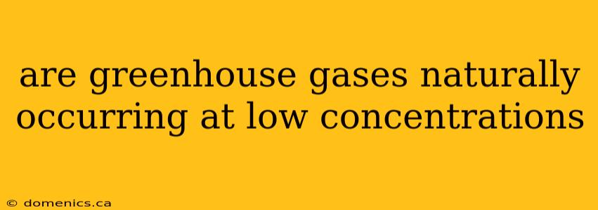 are greenhouse gases naturally occurring at low concentrations